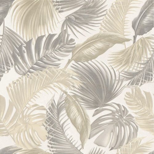 Porcelanato 61085 Donna Extra 61x61 Realce